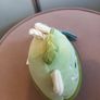 Original squashmallow Eitan Image 3