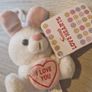 Small rabbit teddy, BNWT Image 4