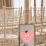 Twelve hanging photo frames for chairs / pews for wedding Image 2