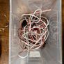 Neon Flex, Rope Light & Driver Project Lot Image 8