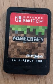 Minecraft for Nintendo switch