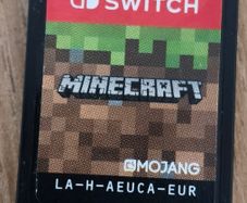Minecraft for Nintendo switch