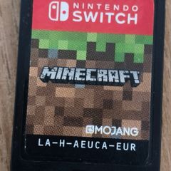 Minecraft for Nintendo switch