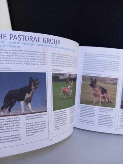 SALE! DOG CARE & TRAINING - A complete illustrated guide to adopting, house-training and raising a healthy dog