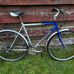 Hybrid Bike