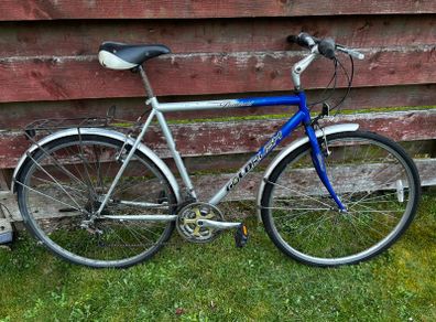 Hybrid Bike