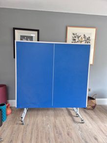 Table Tennis table