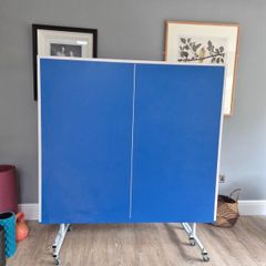 Table Tennis table