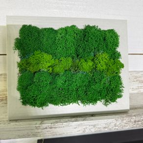 Frame 03 - 20x25cm natural moss