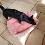 Pet bed medium Image 2