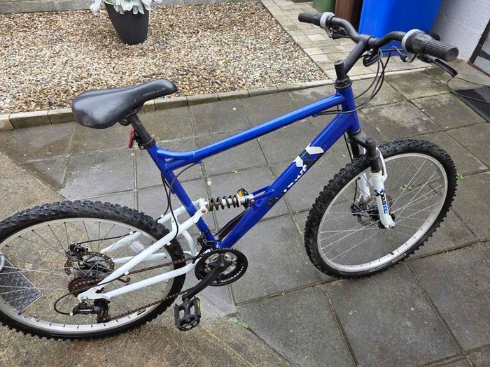 Adult Bike