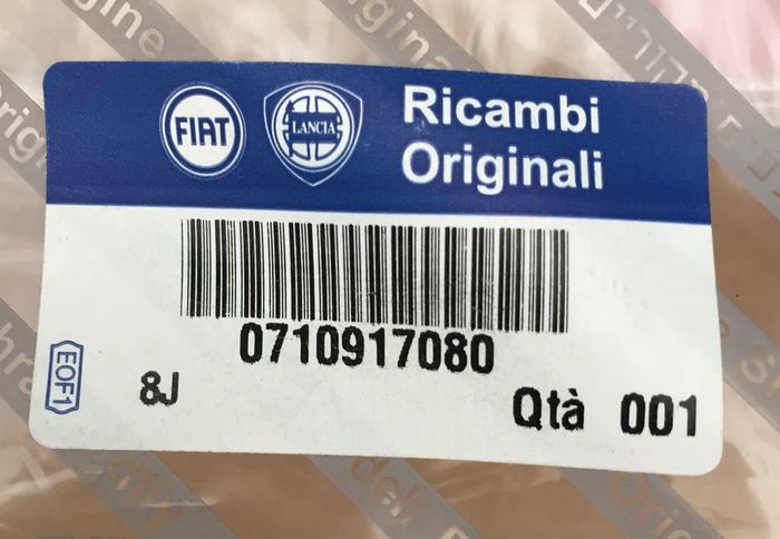 RH Front Door Moulding (Fiat Punto 176)