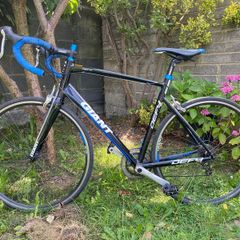 Giant Defy