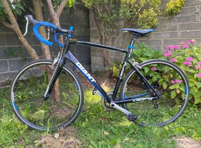 Giant Defy