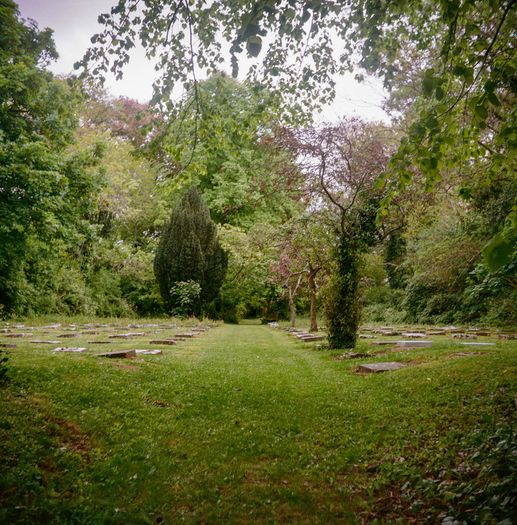 Zeiss Ikon Nettar Medium Format Camera Film Tested