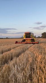 Claas Dominator 118sl