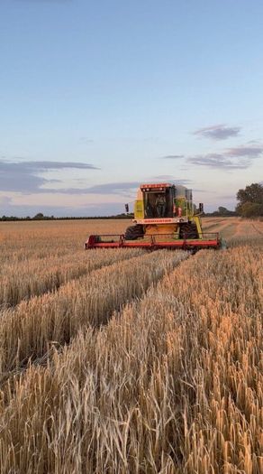 Claas Dominator 118sl
