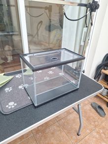 fish tank