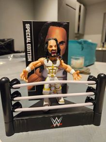 WWE Wrestling Slam Crate Figures