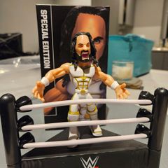 WWE Wrestling Slam Crate Figures