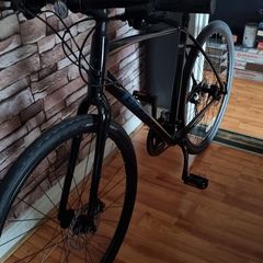 Adult mountain bike