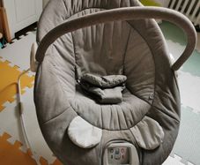 Baby bouncer