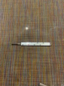 Magnien Paris thermometer in metal case