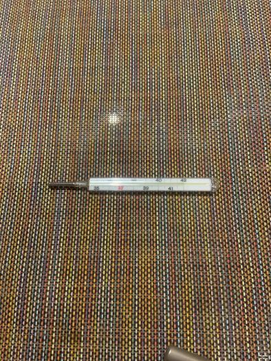 Magnien Paris thermometer in metal case