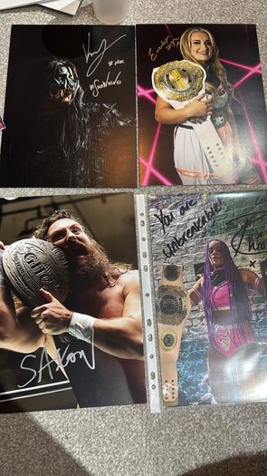 wrestling bundle