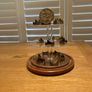 Rotating Glass Bell Jar Display Unit Image 2