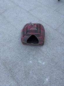 Cat bed