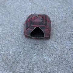 Cat bed