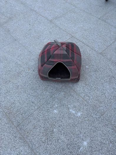 Cat bed