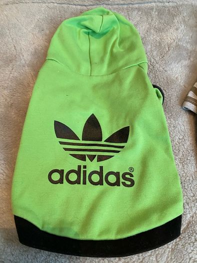 Small dog/puppy t-shirts size M