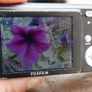 Fujifilm Digital Camera FinePix J15fd 8.2MP-works well Image 7