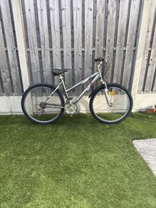 Giant Rock mountain bike