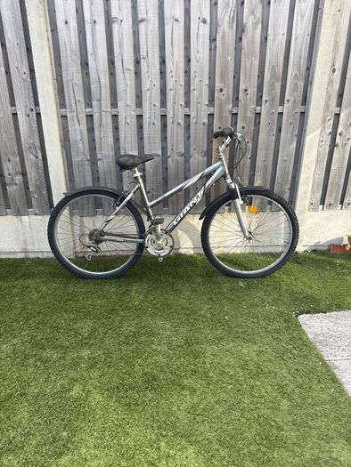 Giant Rock mountain bike