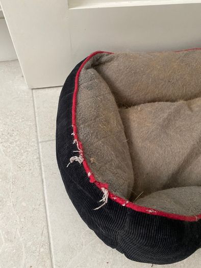 Small Dog Bed