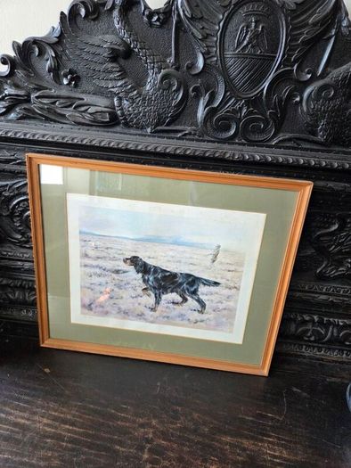 Limited edition print of Gordon Setter