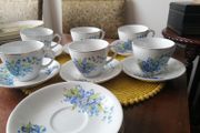 Vintage ALFRED MEAKIN porcelain set