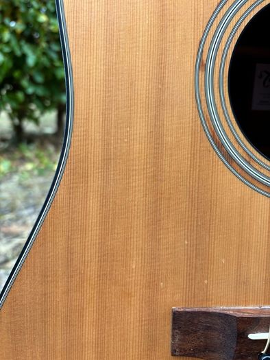 Takamine G320-NS