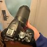 Nikon D3500 Image 10