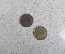 2 x Punt Coins