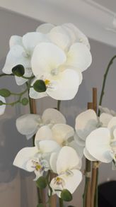 White Artificial Orchid