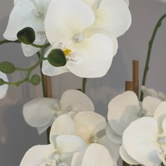 White Artificial Orchid