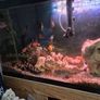 aquarium Image 4
