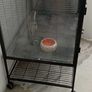 Animal Cage Image 3