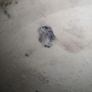 Chinese handpainted large floor vase/umbrella holder Image 6
