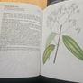 Natural Beauty Care With Flowers And Plants. B. Hlava, Z. Krejcova. Hardback In Good Condition.  See Photos For Same. Image 7