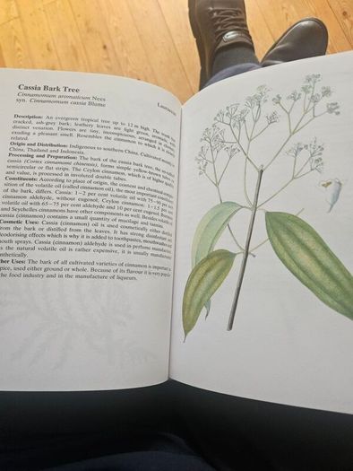 Natural Beauty Care With Flowers And Plants. B. Hlava, Z. Krejcova. Hardback In Good Condition.  See Photos For Same.